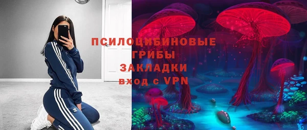 mdpv Дмитров