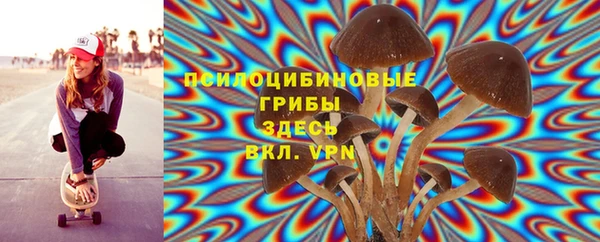 мет Дмитриев