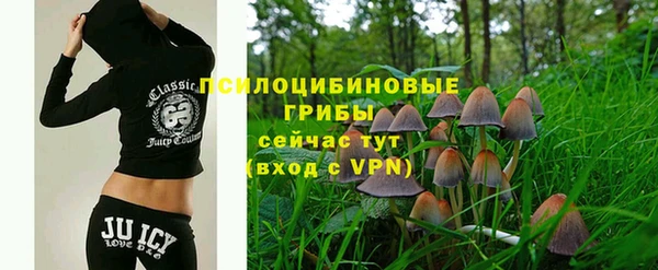 ГАЛЛЮЦИНОГЕННЫЕ ГРИБЫ Пролетарск